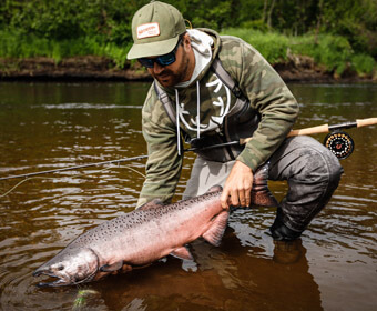 An image of a salmon in the wild streams and rivers of alaska. 