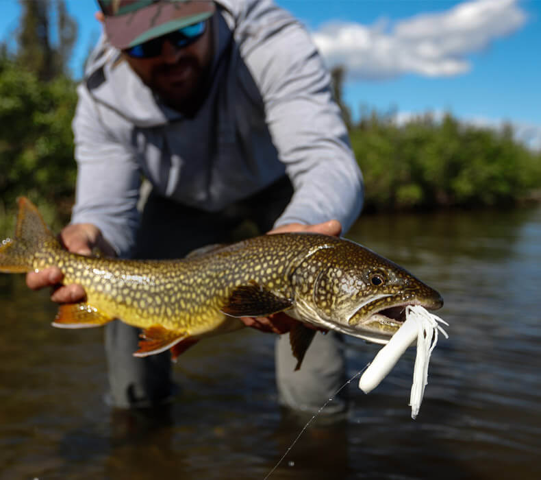 An image of Alaskan Wild River Fishing with Outogoing Angling, featuring a gorgeous fish. 