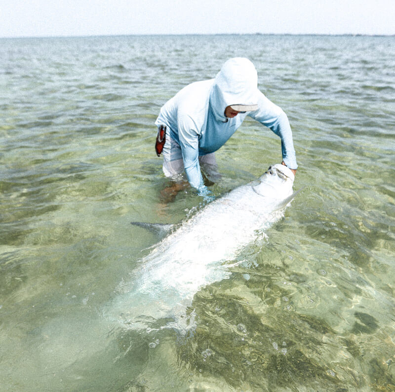 An image of an angler landing a large Florida Keys Tarpon on an Outgoing Angling Florida Keys Fishing Charter