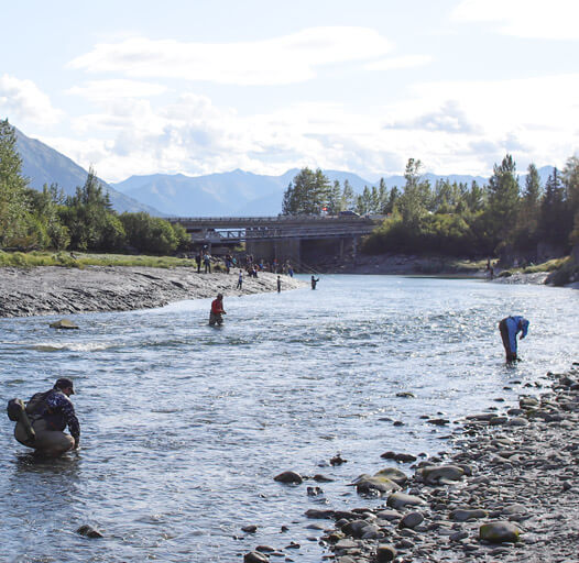 An image of the Anchorage Fishing Guides at Outgoing Angling at a salmon camp outside Anchorage. 