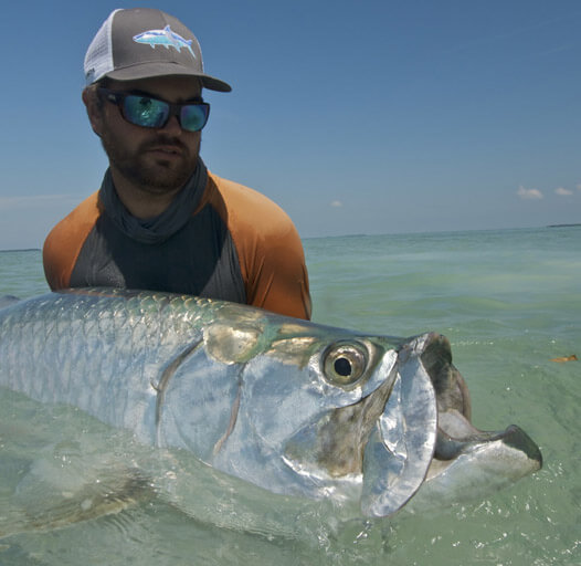 Tarpon Fishing in the Florida Keys