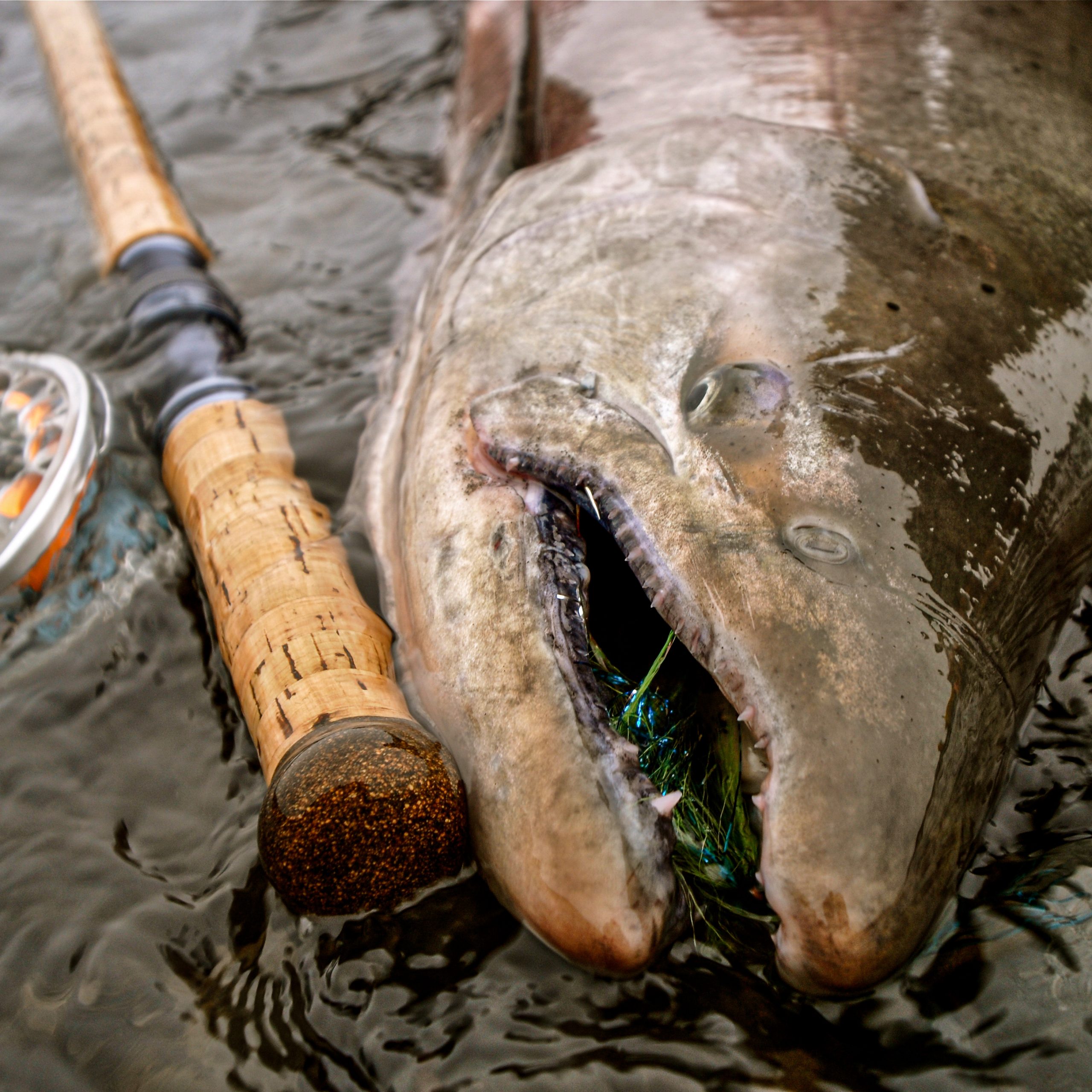 An image of an Alaska fishing guide in the wilderness of Alaska on a Alaska Fly Fishing Trips. 