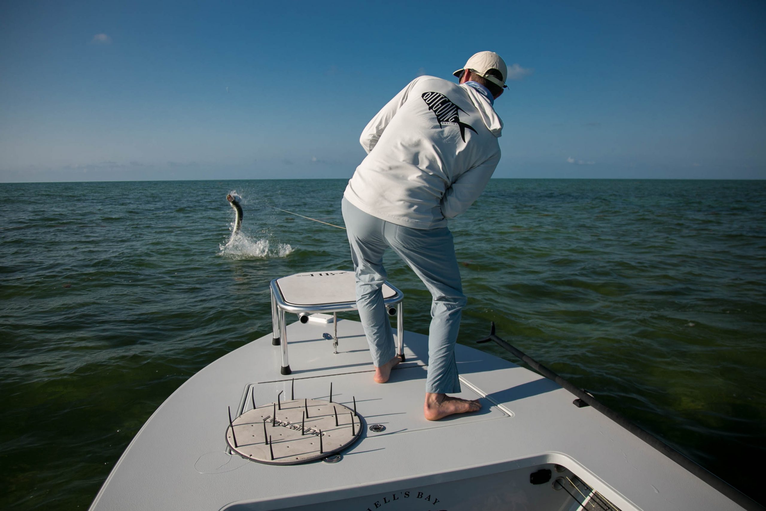 jumping tarpon OA