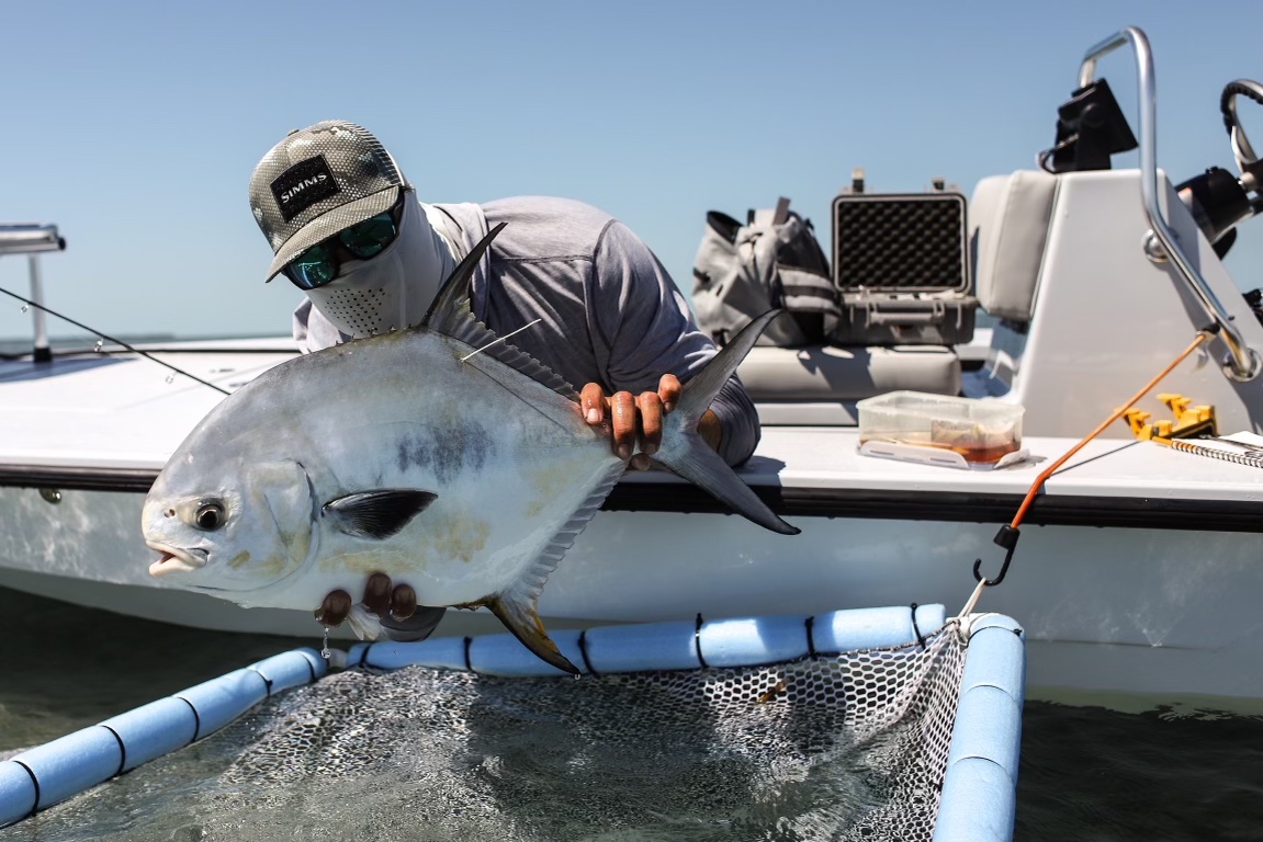 permit tag surgery