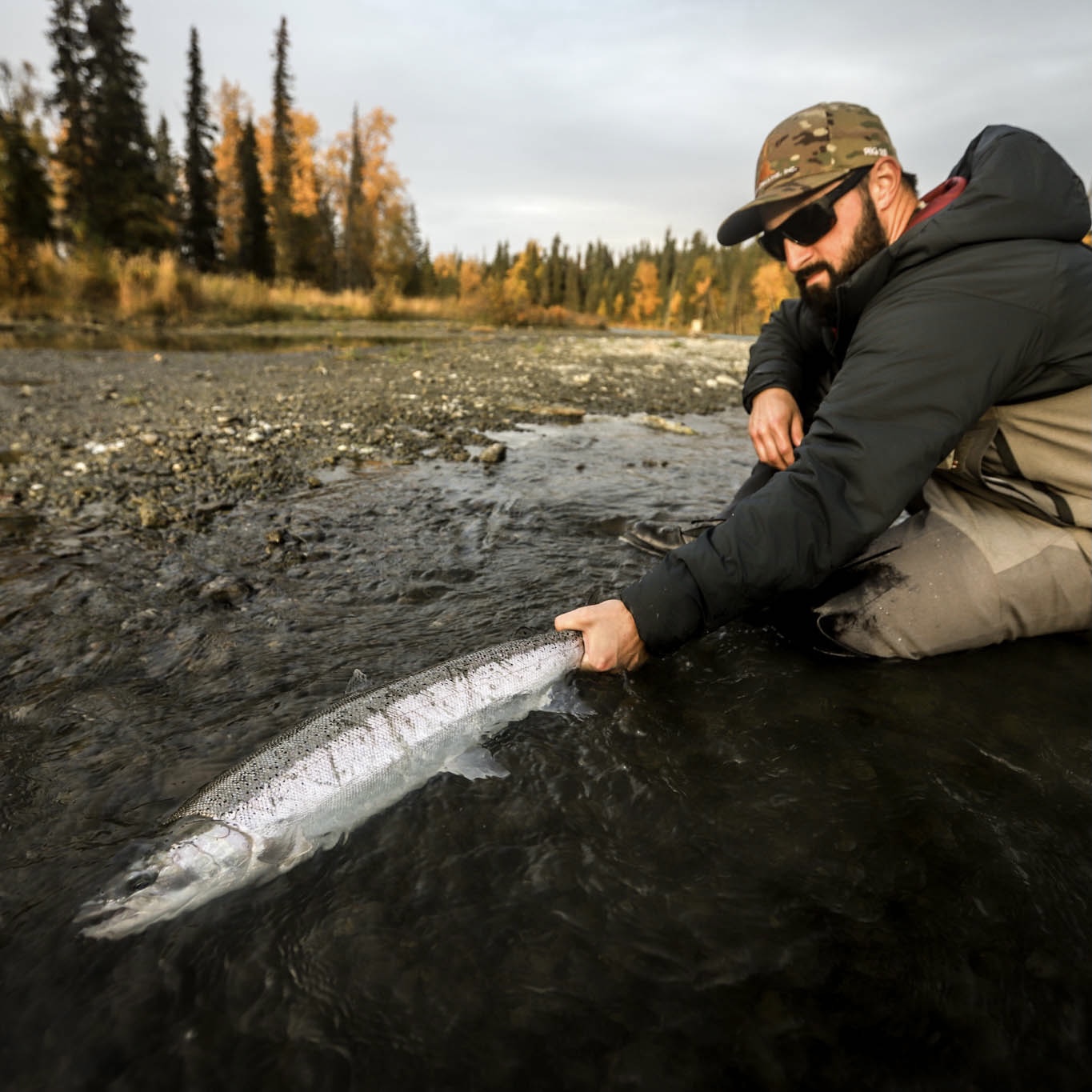 fall steelhead fishing