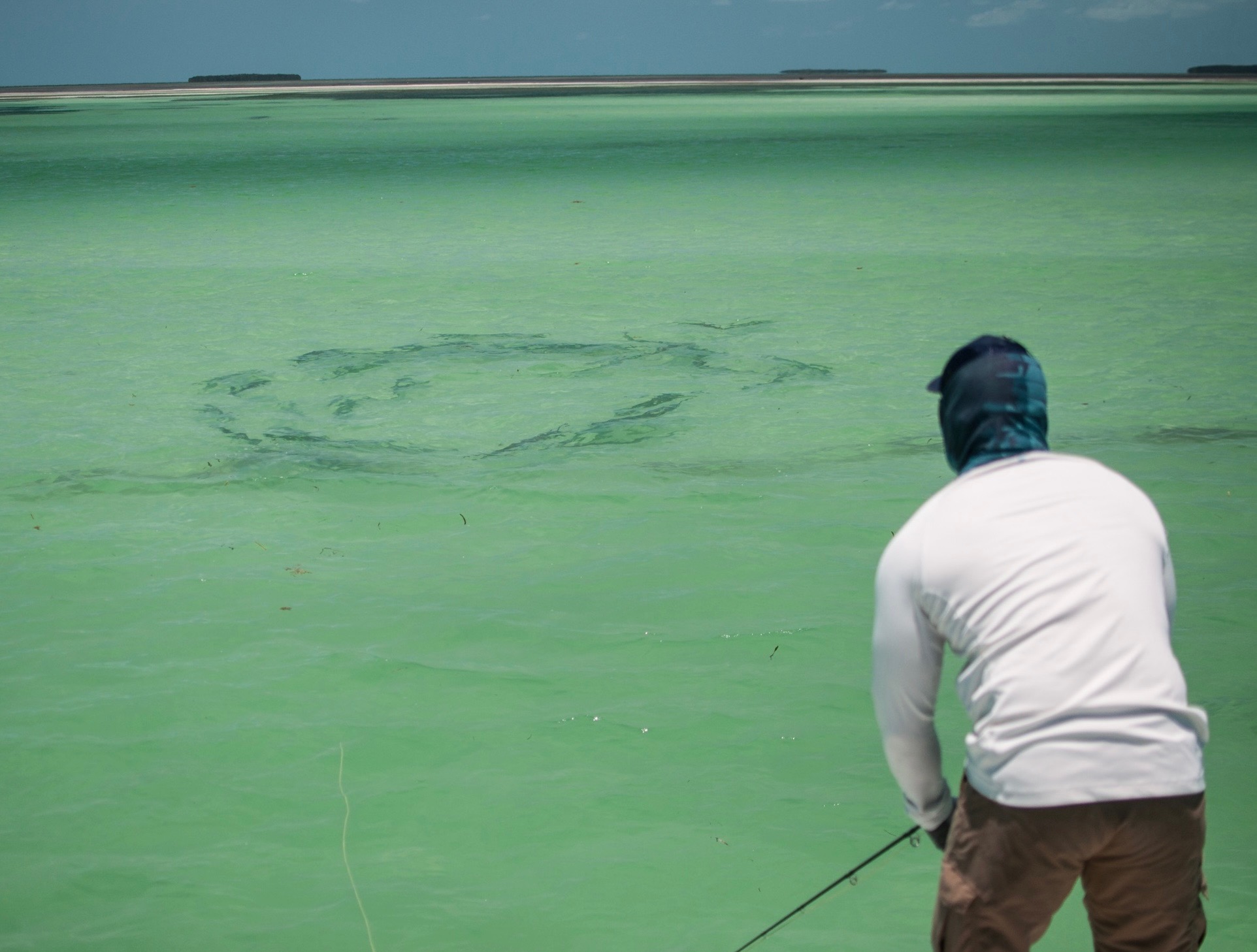 An image of a tarpon at the side of a Florida Keys Fishing Charter on-board Outgoing Angling.