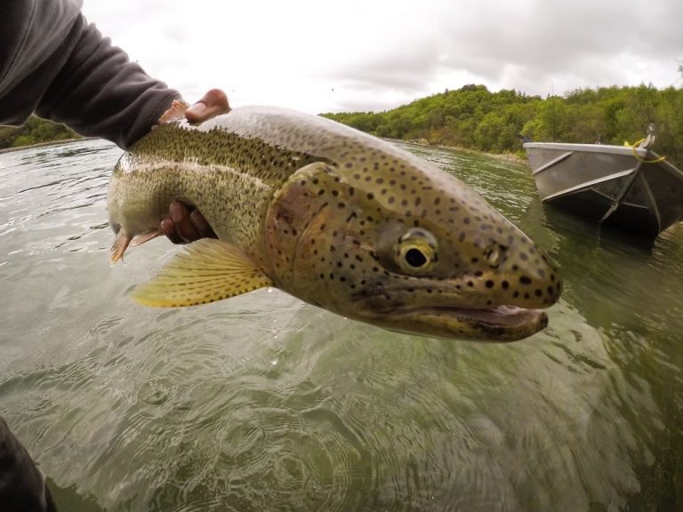 Anchorage Fishing Guides | Fish Wild Alaskan Rivers | Outgoing Angling