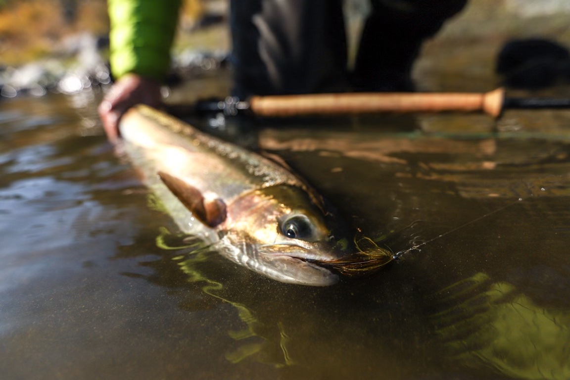 Micro spey trout fishing in Alaska - Alaska Fly Fishing Trips