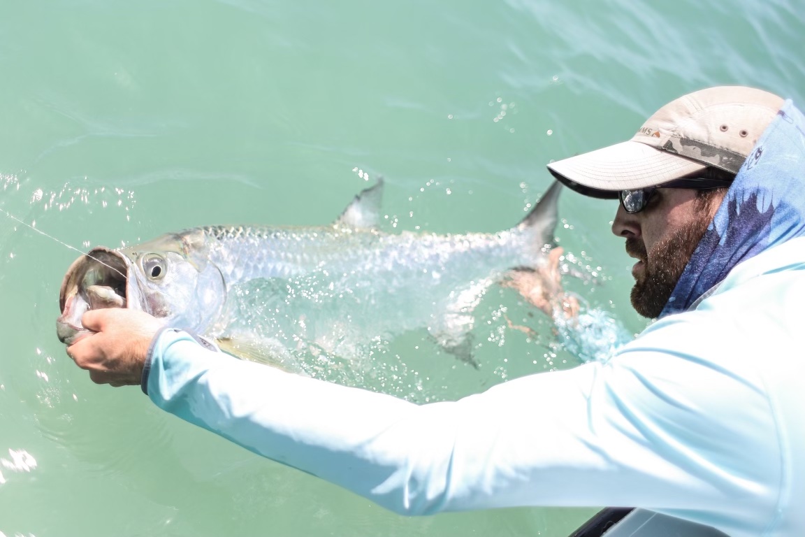 juvenile tarpon fishing