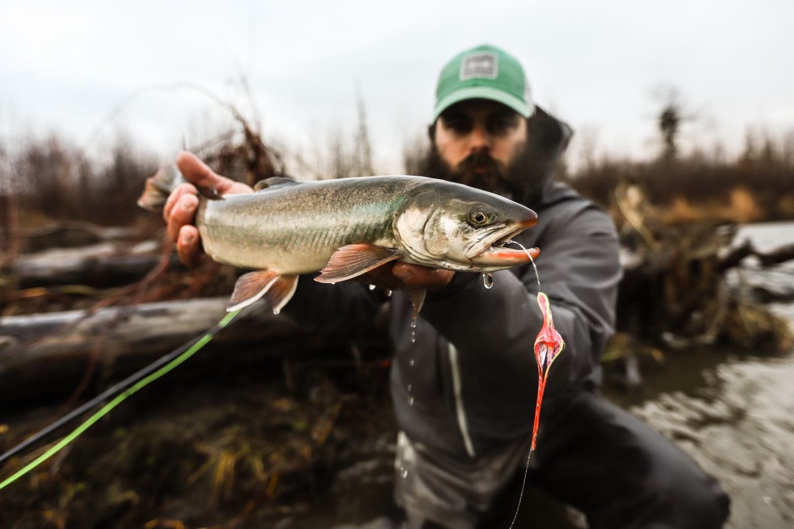 An image of an alaska trout fishing adventure with Outgoing Angling