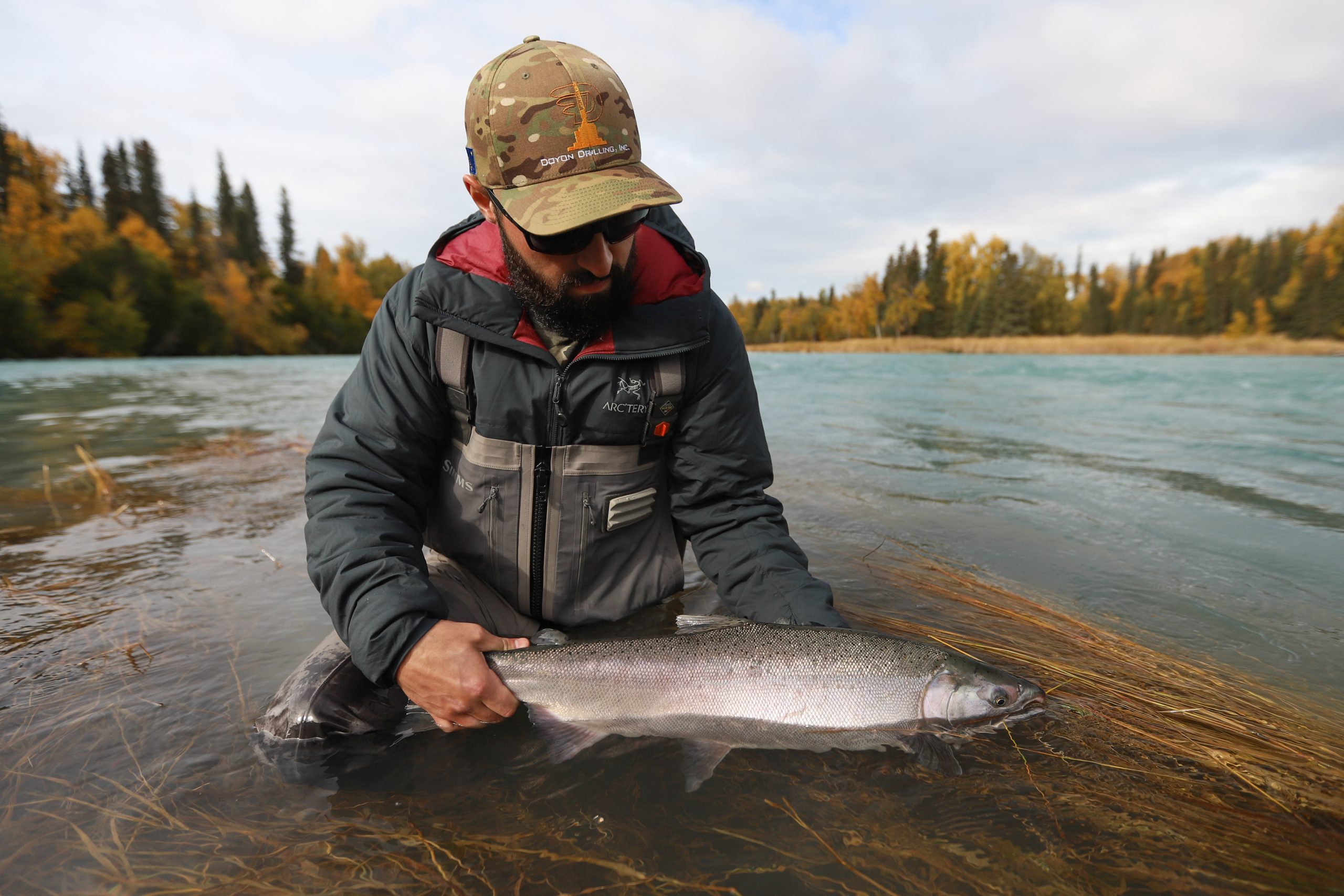 kenai silver salmon