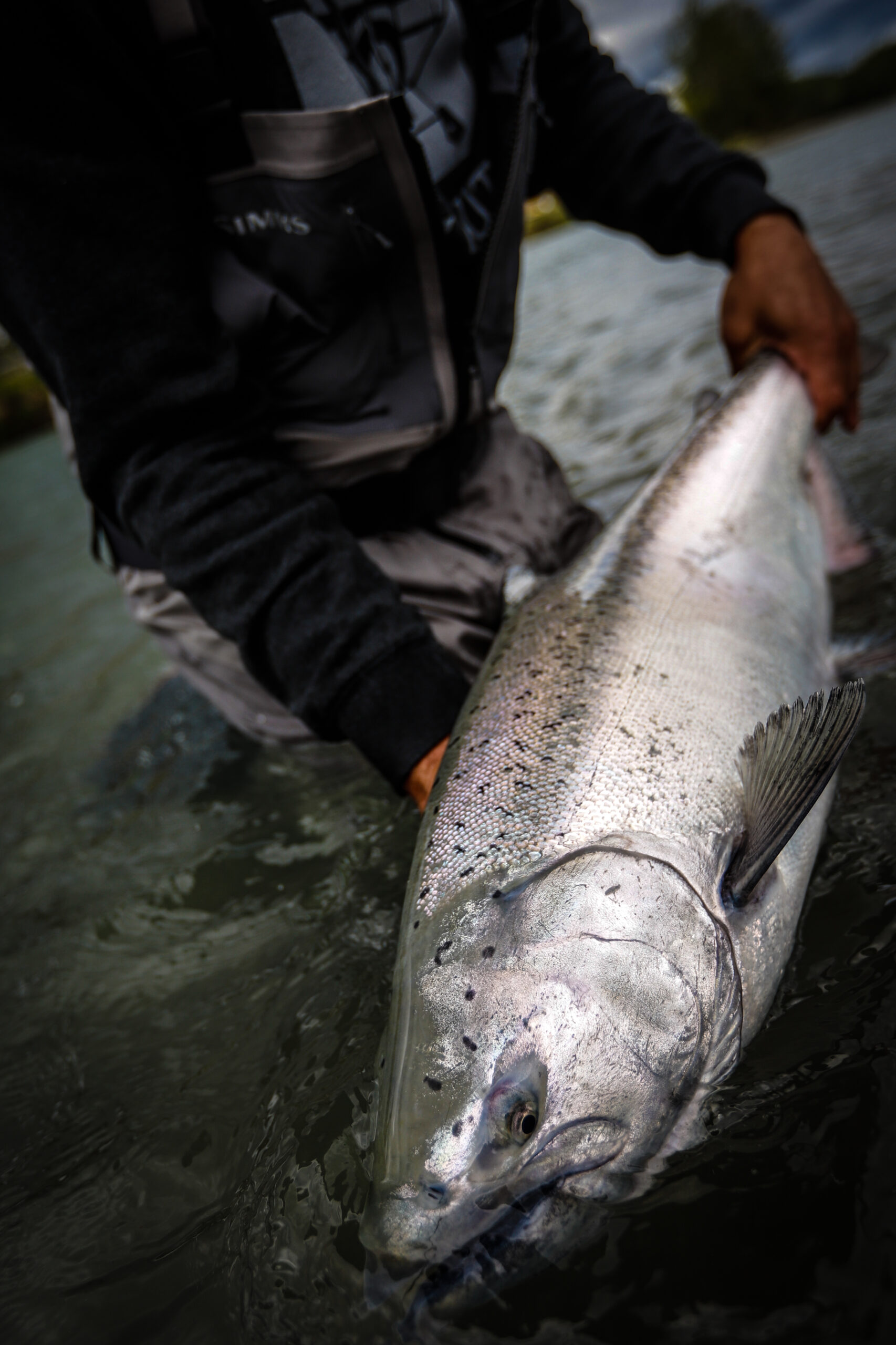 Kenai Red Rods, Specialy Made for the Kenai River REDS