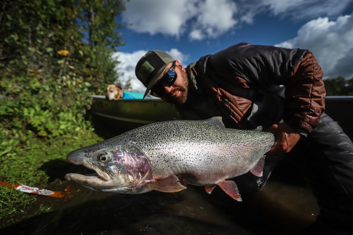 An image of an alaska trout fishing adventure with Outgoing Angling