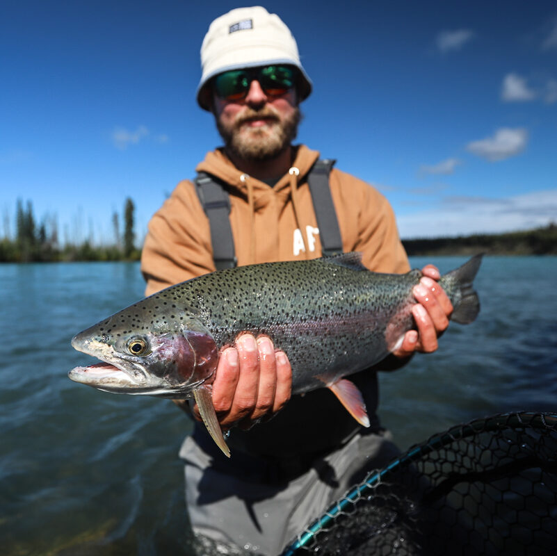 An image of a stellar Alaskan fish caught in the rivers of the Alaskan wild.