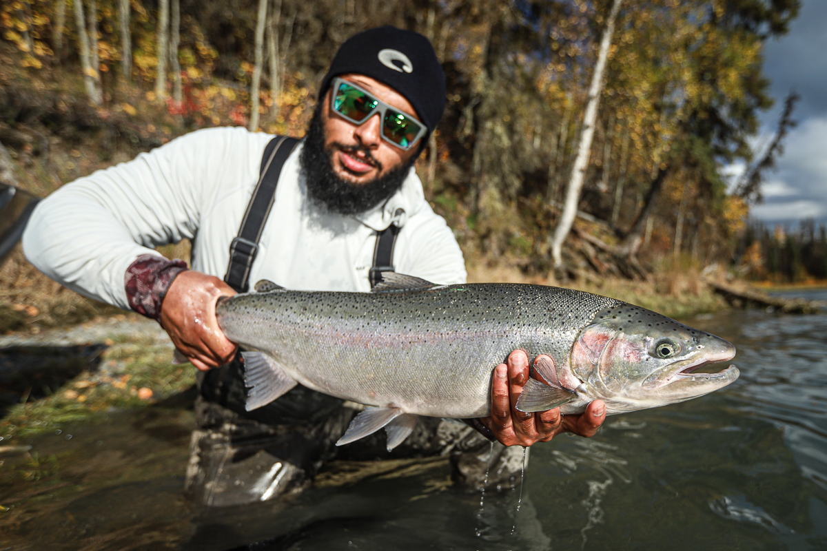 steelhead on the swing